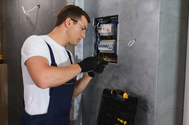 Best Electric Panel Repair  in West Bishop, CA